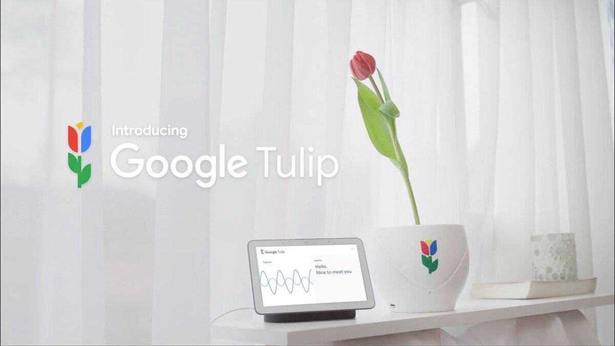 1 апреля: умное устройство Google Tulip научилось разговаривать с растениями