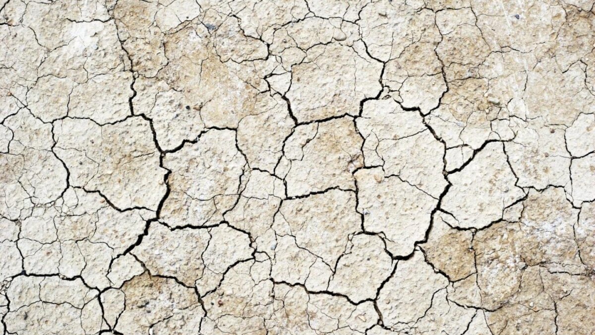 Последствия Калифорнийского землетрясения видно из космоса