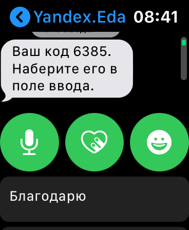 Apple Watch. Обзор часов, с которыми невозможно расстаться 118 img_2997