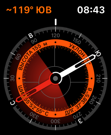 Apple Watch. Обзор часов, с которыми невозможно расстаться 120 img_3002