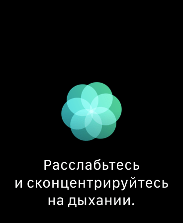 Apple Watch. Обзор часов, с которыми невозможно расстаться 126 img_3008