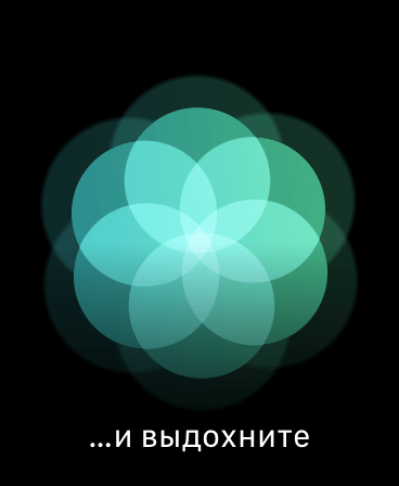 Apple Watch. Обзор часов, с которыми невозможно расстаться 127 img_3009