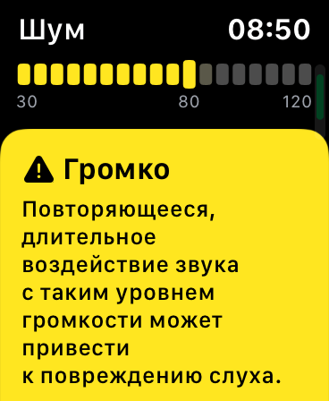Apple Watch. Обзор часов, с которыми невозможно расстаться 144 img_3030