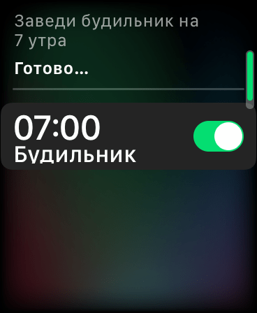 Apple Watch. Обзор часов, с которыми невозможно расстаться 103 img_3046