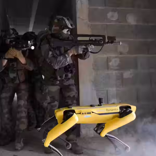 french army with spot