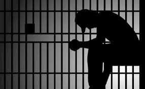 Обновление приложения Spotify: улучшен интерфейс библиотек и сортировка в мобильных приложениях