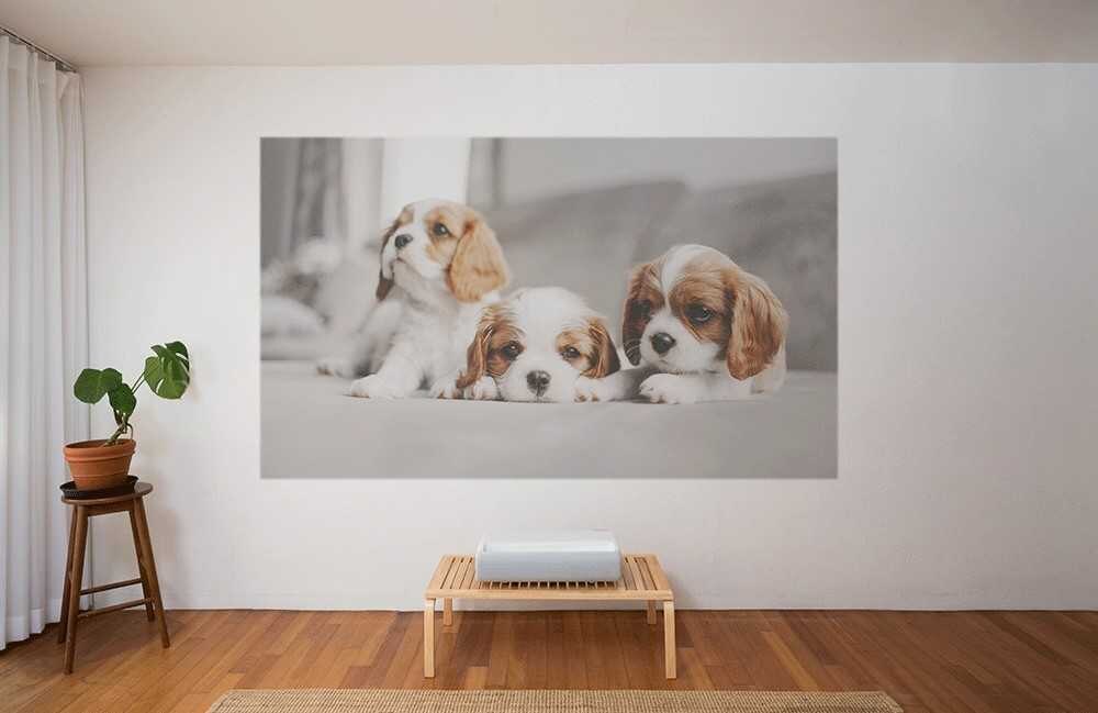 На что обратить внимание, если вы задумываетесь о домашнем кинотеатре