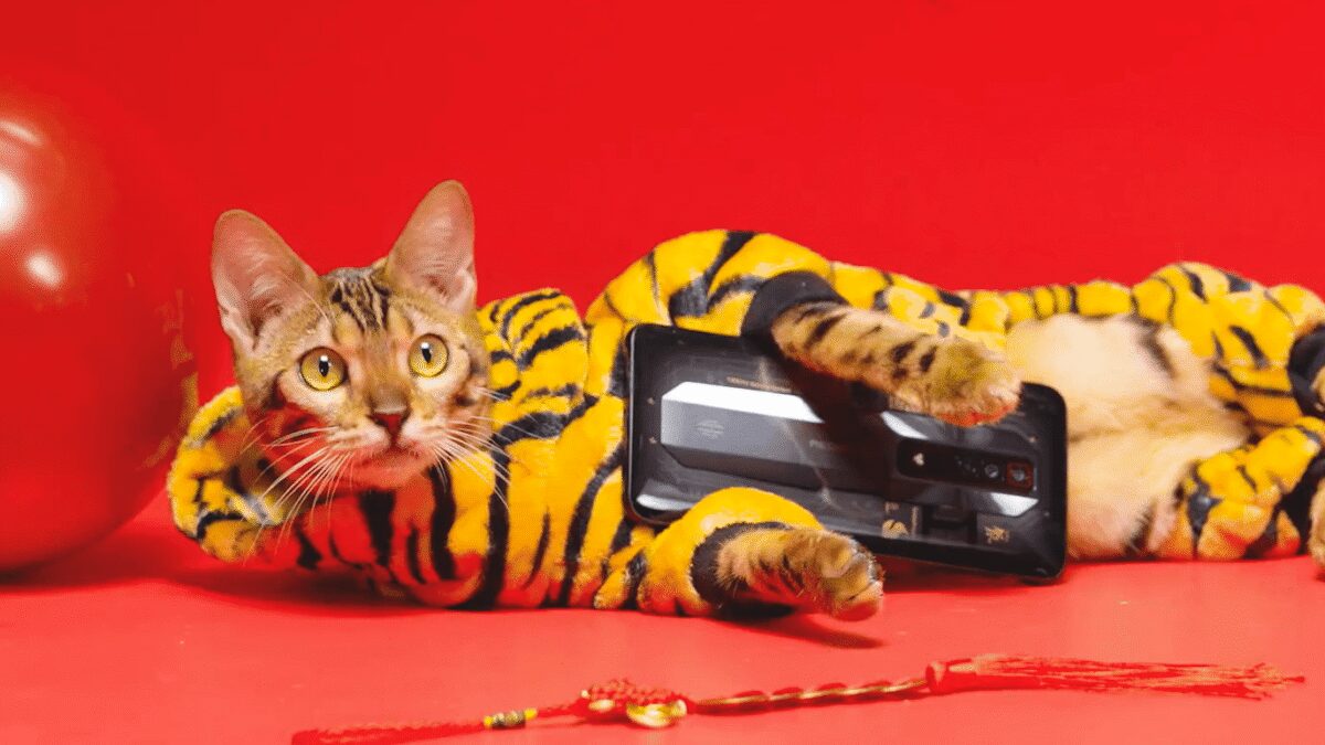 Дизайн игрового флагмана Nubia Red Magic 7 раскрыт в новой утечке