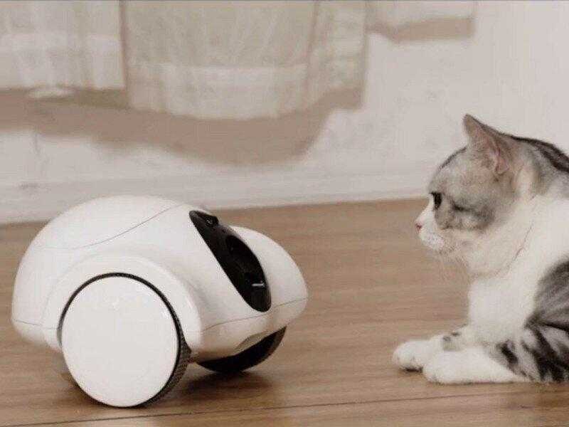 Guliguli Hiibo — мини-робот, который заботится о домашних животных