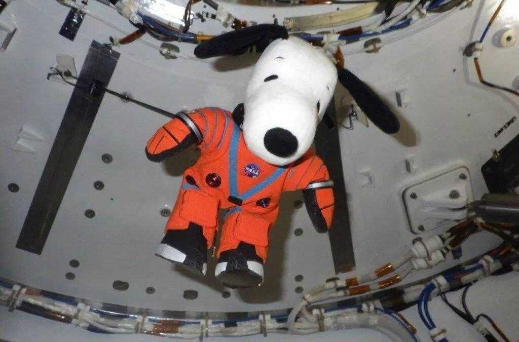 NASA запускает «космический Netflix», бесплатно, без рекламы и подписки