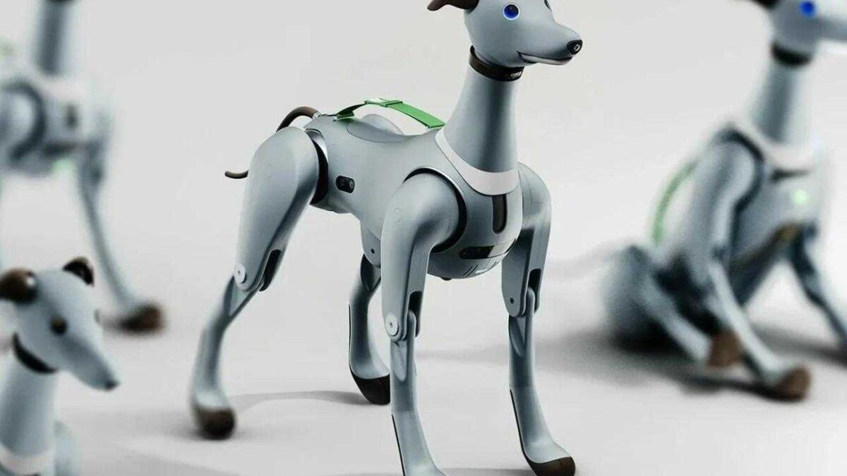 Представлена робособака для космонавтов — Laika