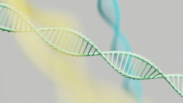 Biomemory выпустил портативный накопитель, который использует нити ДНК