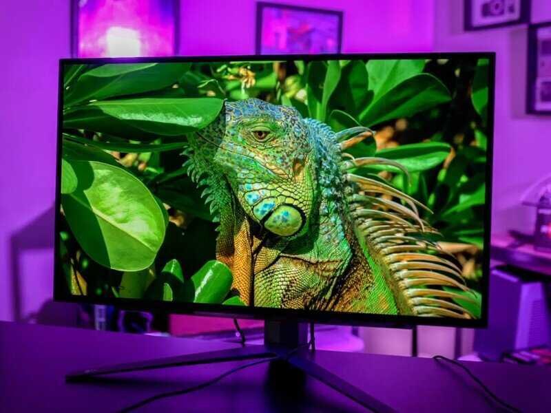 LG Display готовит к выпуску новый OLED-монитор для геймеров