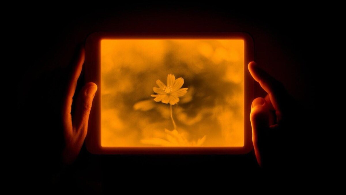 Daylight Computer Company выпустил планшет с экраном из «живой бумаги» – Daylight Tablet