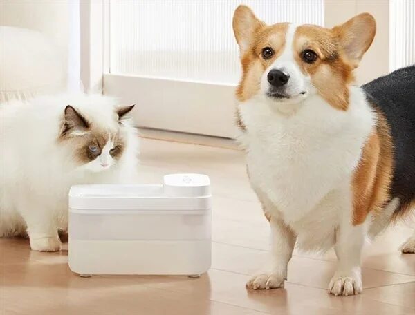 Xiaomi выпустил беспроводную поилку для животных — MIJIA Wireless Smart Pet Water Dispenser