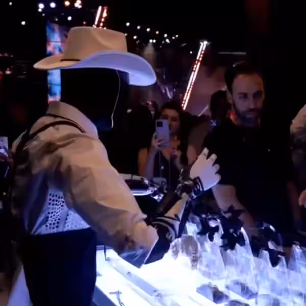 cowboy optimus.png