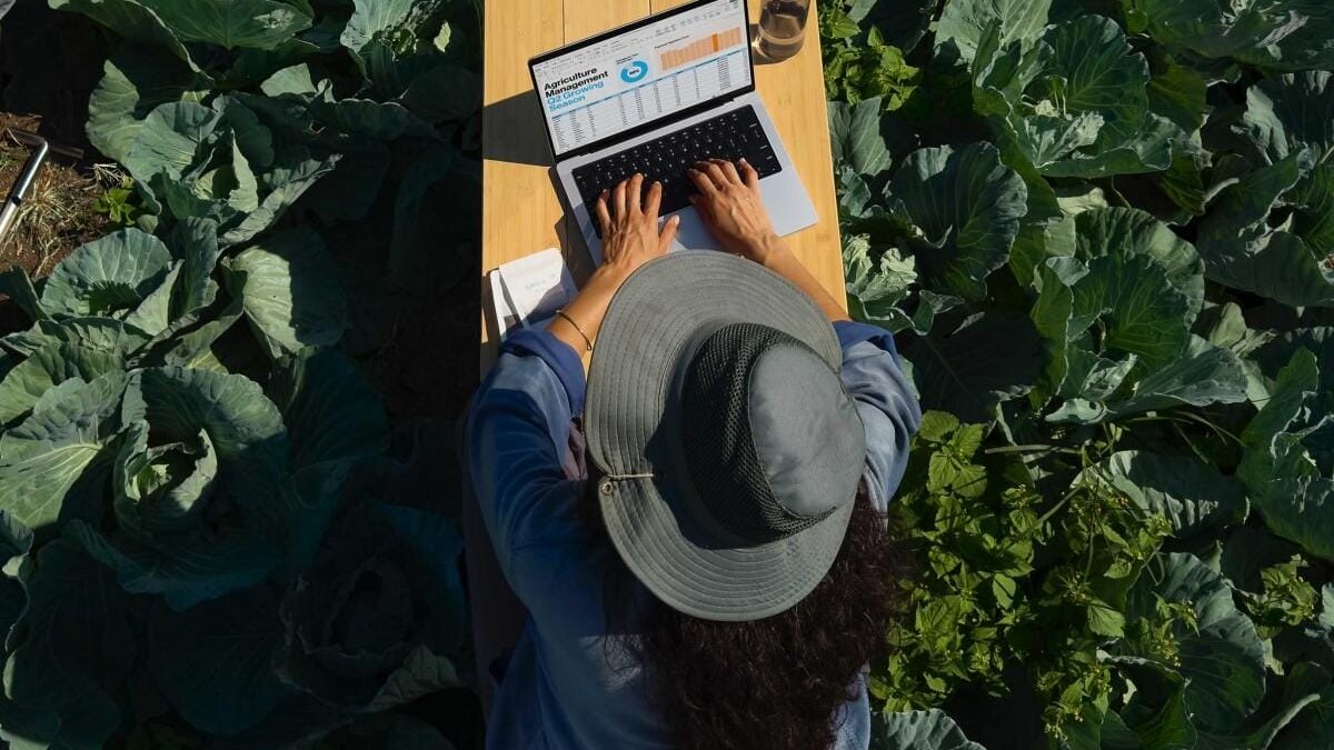 Apple представила MacBook Pro с процессорами серии M4