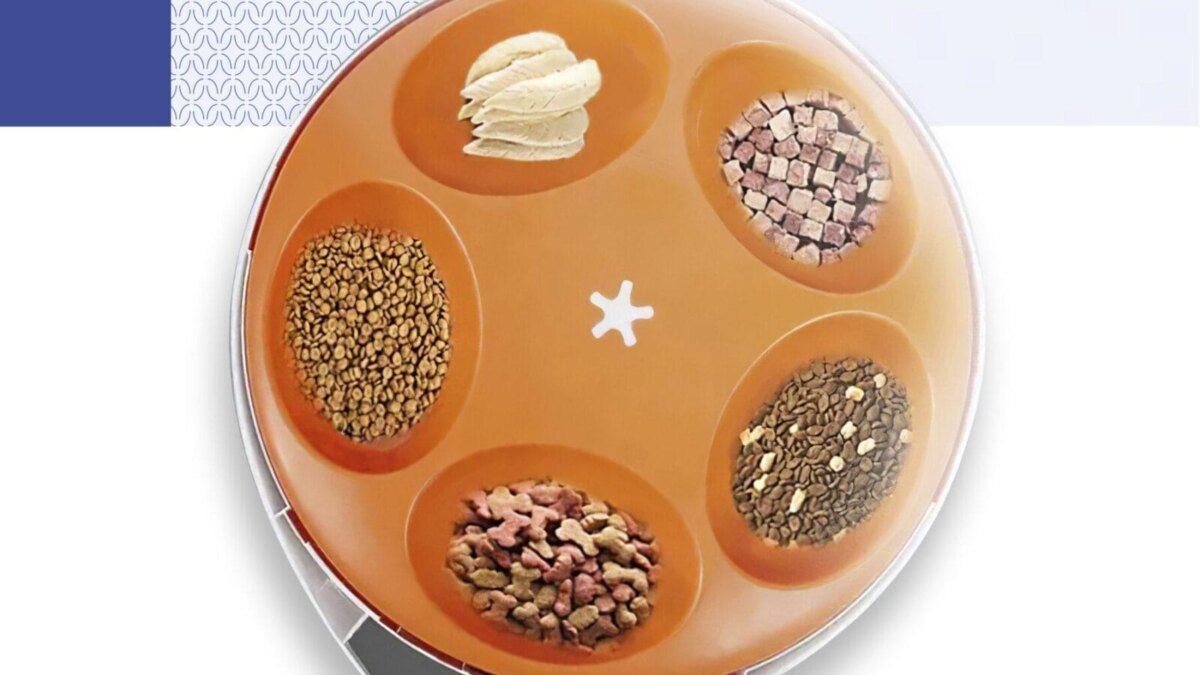 Planeta Laika выпустила первую в России умную кормушку для животных с охлаждением