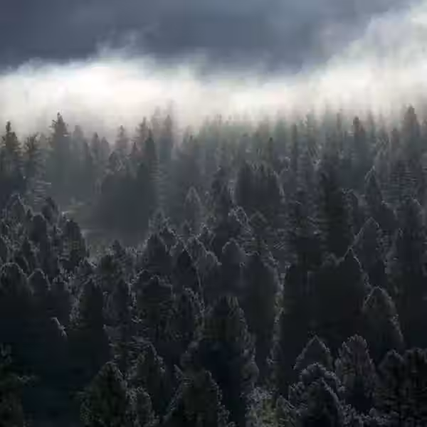 img 0686