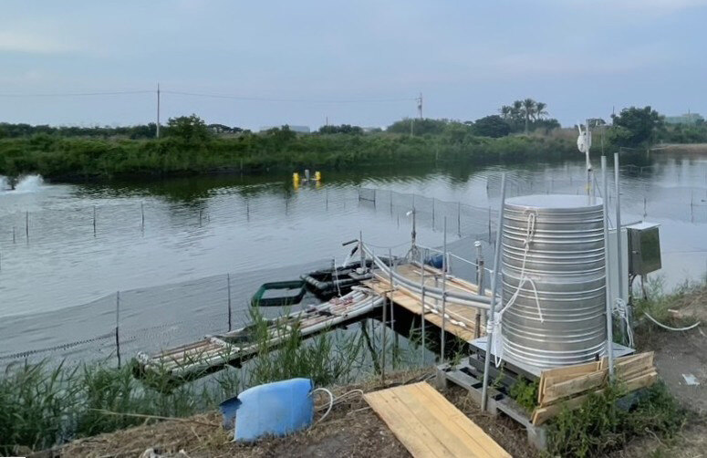 ITRI представил систему точного кормления рыб на базе ИИ