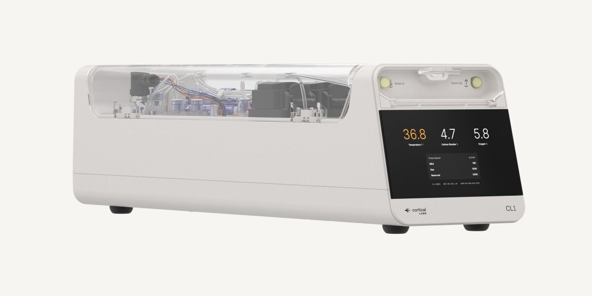 Биокомпьютеры в Мельбурне стартуют с заливки аналогов спинномозговой жидкости