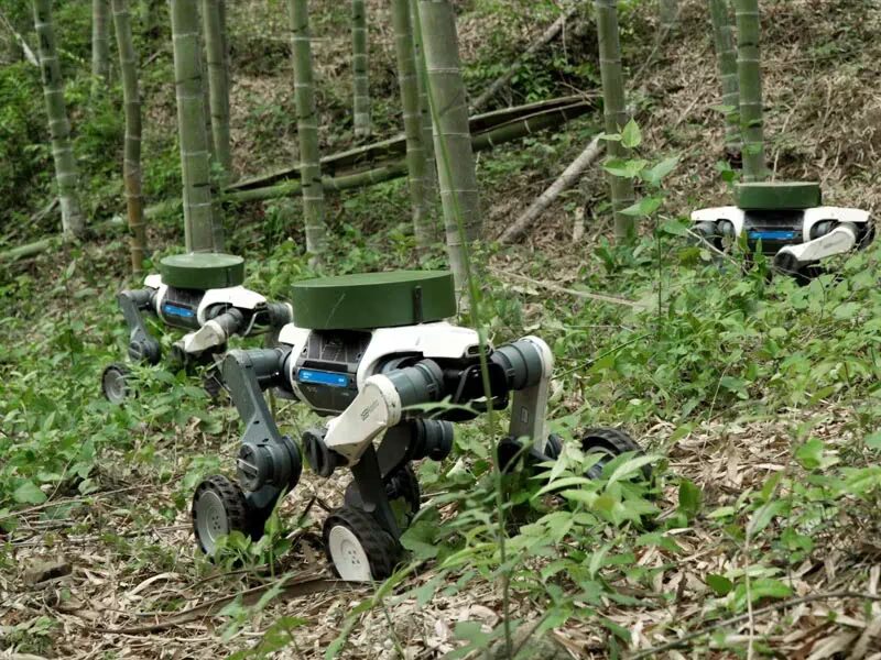 Deep Technology показала Lynx S10 для инспекций и спасработ